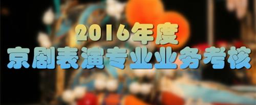 穴肉插免费观看国家京剧院2016年度京剧表演专业业务考...